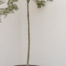 경주아늑 이미지