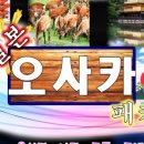 (주)마니투어 - 달서구 | (주)마니투어