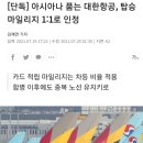 아시아나 품는 대한항공, 탑승 마일리지 1:1로 인정 이미지