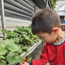 겨리농장 이미지