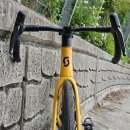 팔조령 정상 | [리뷰] 스캇 에딕트 RC10 대구 팔조령 시승기