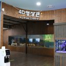 울산고래생태체험관 티스토리