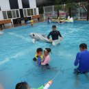 고성 다이노 캠핑장 이미지