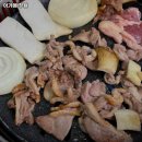 아가메 정원 이미지