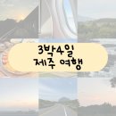 갑자기 제주도를?!
