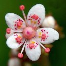 노송가구 이미지