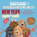 902댕스쿨 | 양주애견유치원 902댕스쿨 보호자님들의 알림장 감동 리얼 후기
