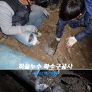 마인계터로 Daum카페