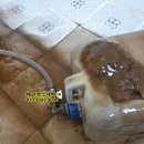 방계1길 이미지