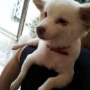 초로동물병원 이미지