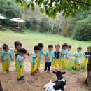 은호목장 이미지