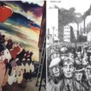 영고농장 이미지