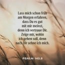 1235 | 독일 유학 생활기 Day1229-1235 / 한국에서의 마지막...펌 후기, 성수동 나들이, 아시아나 후기, 시차...