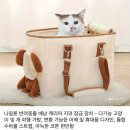 뿐또 | [테무][내돈내산] 2만원대에 산 강아지가방 후기 / 기내용으로도 가능