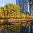 동해역9호광장~동해역삼거리 | 아이와 함께 가기 좋은 서울 명소 Best 15