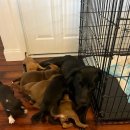 옹기종기 이미지