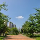 오마뎅 양주옥정점 | 출산 전 임산부 왁싱, 양주옥정 엘왁싱