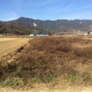 대산면913 이미지