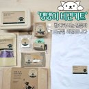 반려견수제간식 아지맘마 | 대전 힐링하개 반려동물과 함께하는 로컬 산책