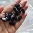 (주)달달콩 이미지