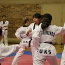 훌륭한 태권도 이미지