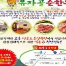 유자골 순한우 네이버블로그
