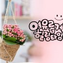 채희 ~~ 바람의 소원 이미지