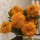 900004 | [축 !스타벅스 퇴사하다! 하]