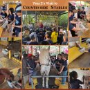 SCIPS-Year 2 - Visit to Countryside Stables 이미지