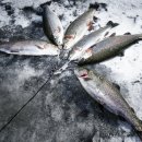 직천낚시터 이미지