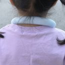 여름 필수템! 온 가족 사용 가능한 라이즈원 넥쿨러 사용 후기