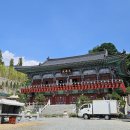 북정동 도시숲 이미지