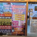 세상의모든사진
