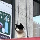 (주) 육전국밥대학로점 이미지