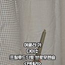 브로우;딘