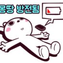 개성소아과 네이버블로그