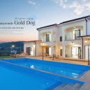 골드독 펜션 이미지