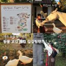 다정목장 | 제주도 동쪽 목장 추천 길갈팜랜드 동물 교감 먹이체험 카페말로 방문후기(위치, 입장료, 가격, 주차...