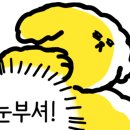 GM PC방 이미지