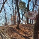 고양누리길 13코스 오선누리길 이미지