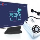 파란통신 전자신문