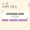 OCEANS HAIR | [교대역 미용실] OCEANS HAIR 뿌리염색 후기. 교대역미용실 교대미용실 서초동미용실