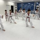 그린나래 태권도 시범단 | (새솔동 태권도)화성시 대회 9일째연습 &#34;아이들 성장기록&#34;