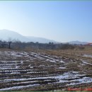 논두렁밭두렁 이미지