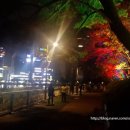 앨리스캣(Alice CAT) 이미지