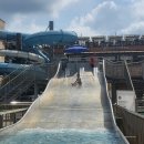 거진 만남의 광장 | [홍천 비발디파크 썸머베케이션 후기] 소노벨 숙소·오션월드 1박2일 가족여행기!