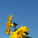 아침에풍경 이미지