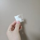 마마포레스트 | 세탁조 청소 방법 마마포레스트 하이브리드 캡슐 세탁조 클리너 사용 후기