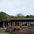 당진 분위기 좋은 맛집 카페와 한식을 함께 즐길 수 있는 은봉산장 방문 후기