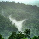 백록담한의원 이미지